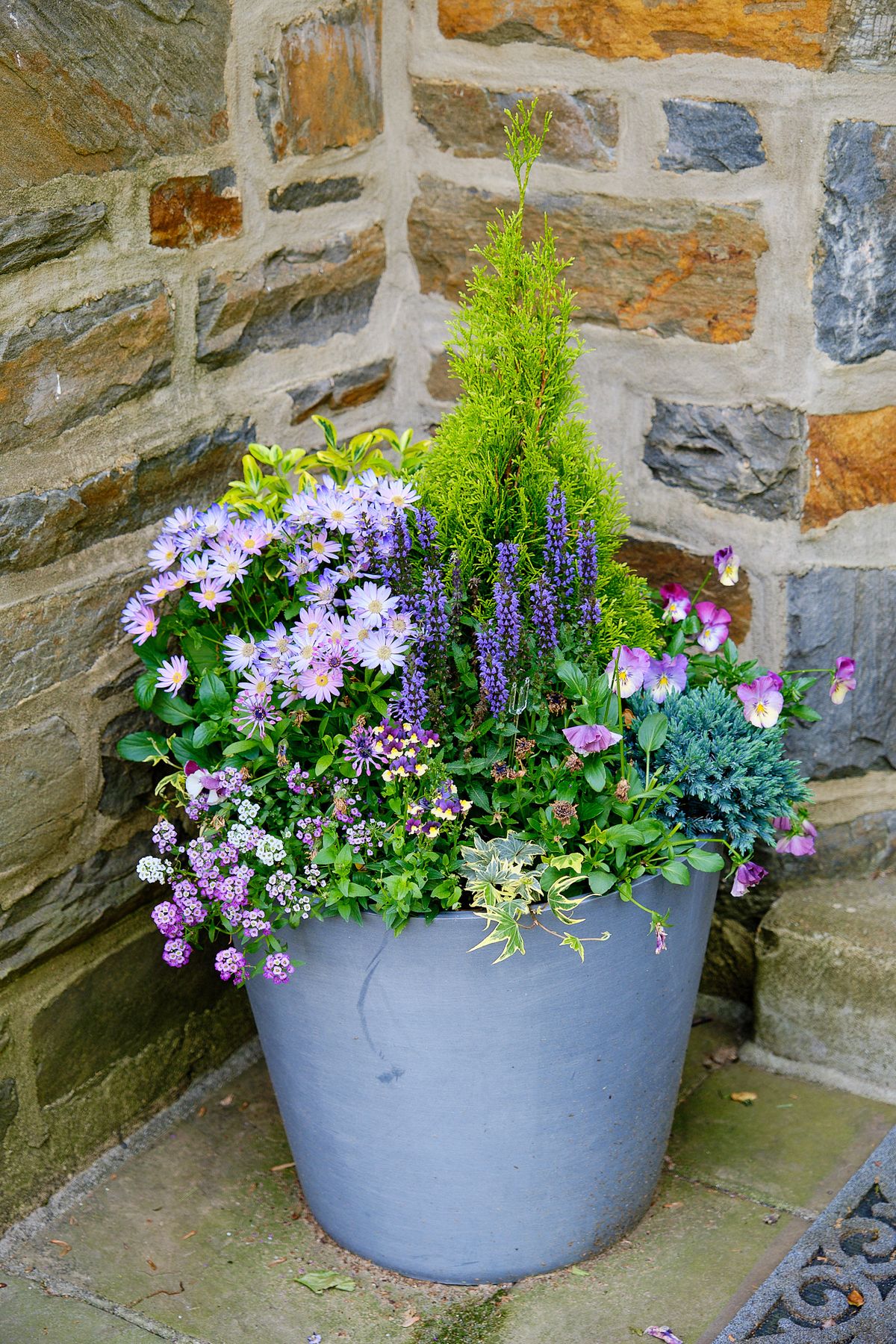 Enliven Planters spring container arrangement